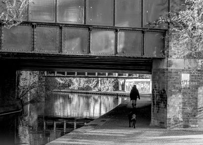 Dog and man by river below bridge