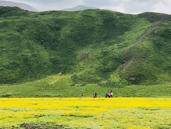 People on field against mountain