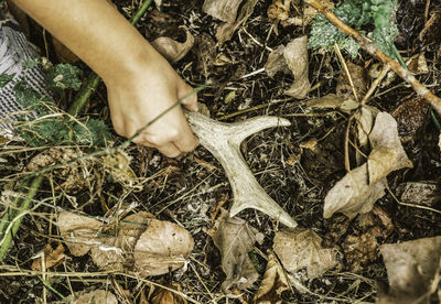 Cropped hand of person gardening