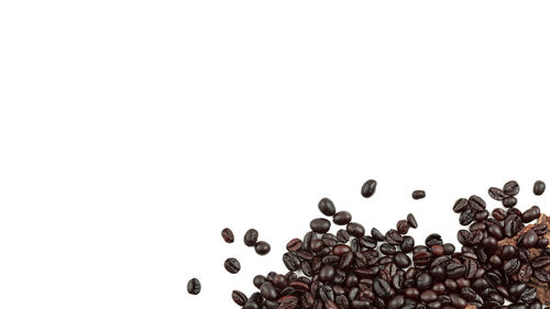 High angle view of coffee beans against white background