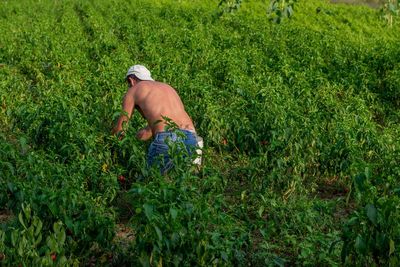 Man working on field