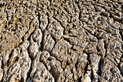 Detail of rock surface washed by the sea for ages. coast line of losinj island, croatia.