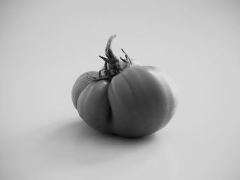 Close-up of apple against white background