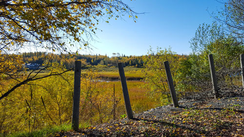 Scenic view of field against sky during autumn