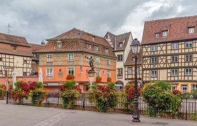 Potted plants on street by building against sky