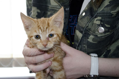 Midsection of person holding kitten