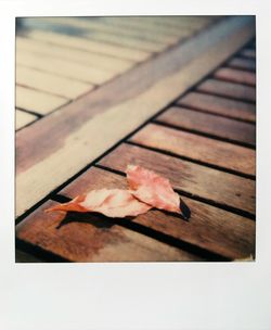 Close-up of autumn leaf on table