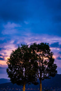 Silhouette of trees against cloudy sky