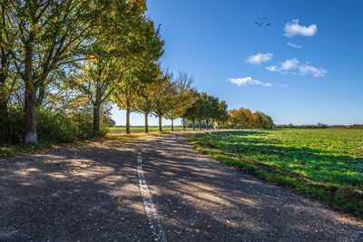 Road amidst trees against sky