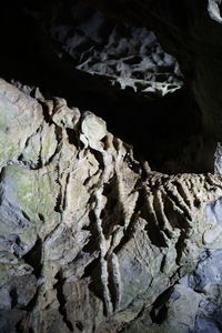 Close-up of cave