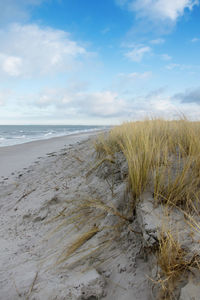 Scenic view of beach against sky