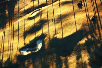 Low section of woman on shadow