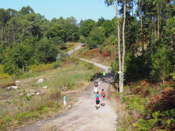 Bicycle on road amidst trees in forest