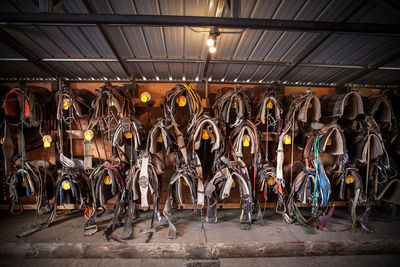 Leather saddles hanging against wall in barn