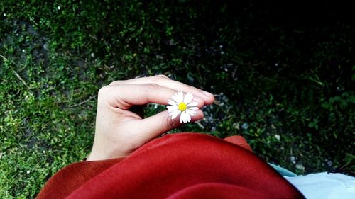 Close-up of hand holding red rose flower