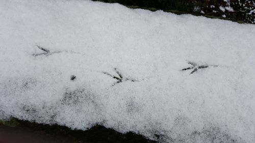 High angle view of snow