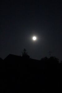 Low angle view of silhouette moon against sky at night