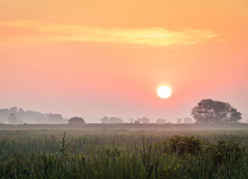 Scenic view of field against sky during sunset