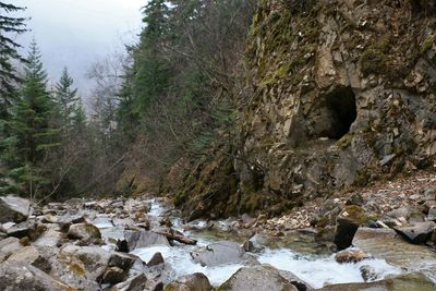 River flowing through rocks in forest