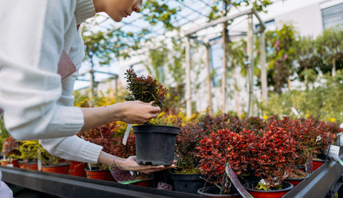 Midsection of man gardening