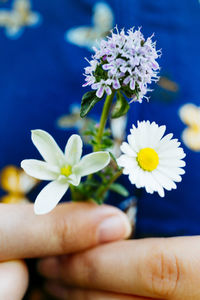 Cropped image of woman holding white flowers