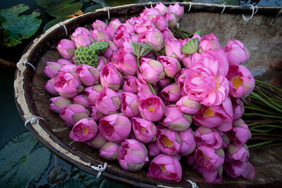 High angle view of pink flowering plants in basket