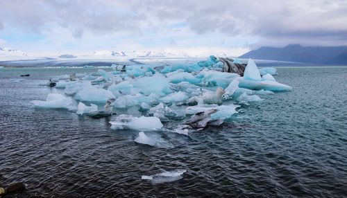 Icebergs in jokulsarlon, iceland 