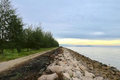 Scenic view of trees against sky