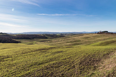 Scenic view of agricultural field against sky