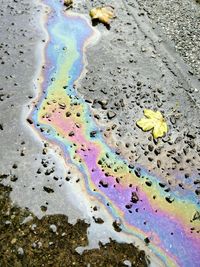 Close-up of wet road during monsoon