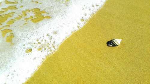 High angle view of sand on beach