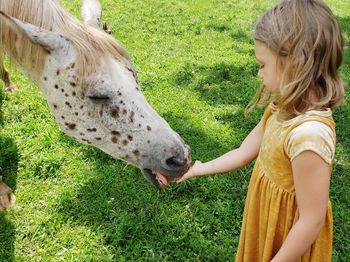 High angle view of girl feeding horse