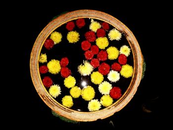 Close-up of flower over black background