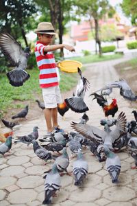 Full length of boy flying birds