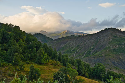environment