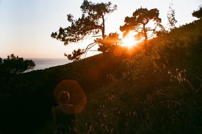 Sun shining over sea