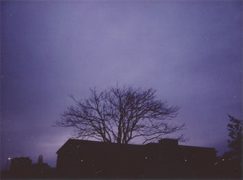 Low angle view of bare trees against blue sky