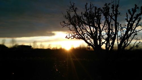 Silhouette trees on field against sky at sunset