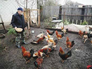 Young man feeding birds