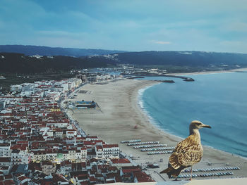 High angle view of seagulls by sea against sky