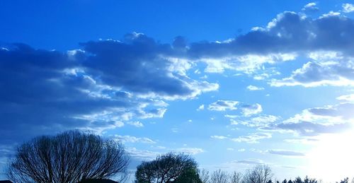 Low angle view of bare trees against blue sky