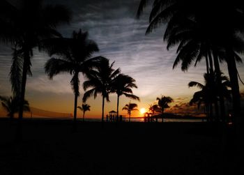 Silhouette palm trees on beach against sky during sunset