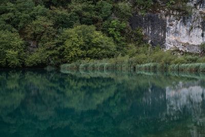 Scenic view of lake by trees against sky