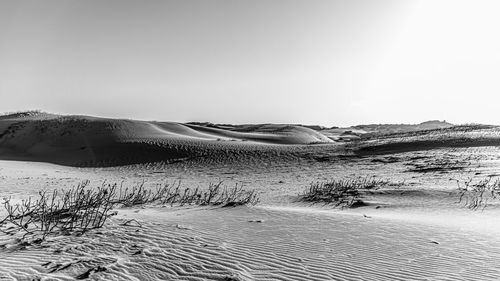 Scenic view of desert against clear sky