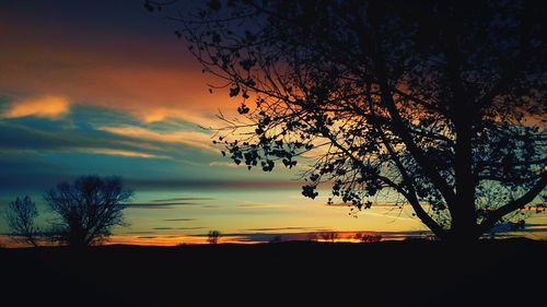 Silhouette trees on landscape at sunset