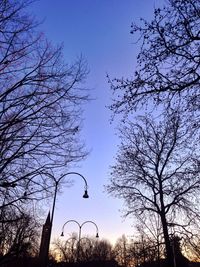 Low angle view of bare trees against blue sky