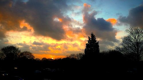 Silhouette of trees against cloudy sky