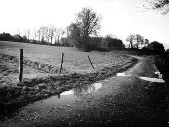 Bare trees on field