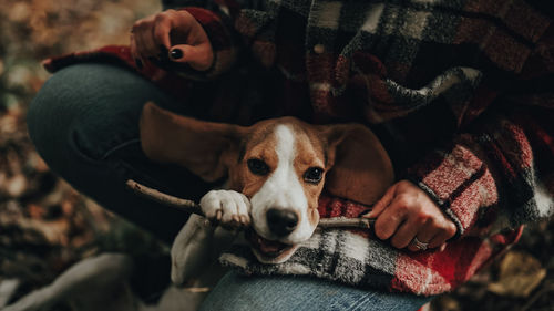 Close-up of dog