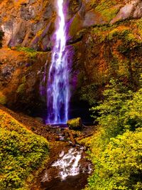 View of waterfall in forest